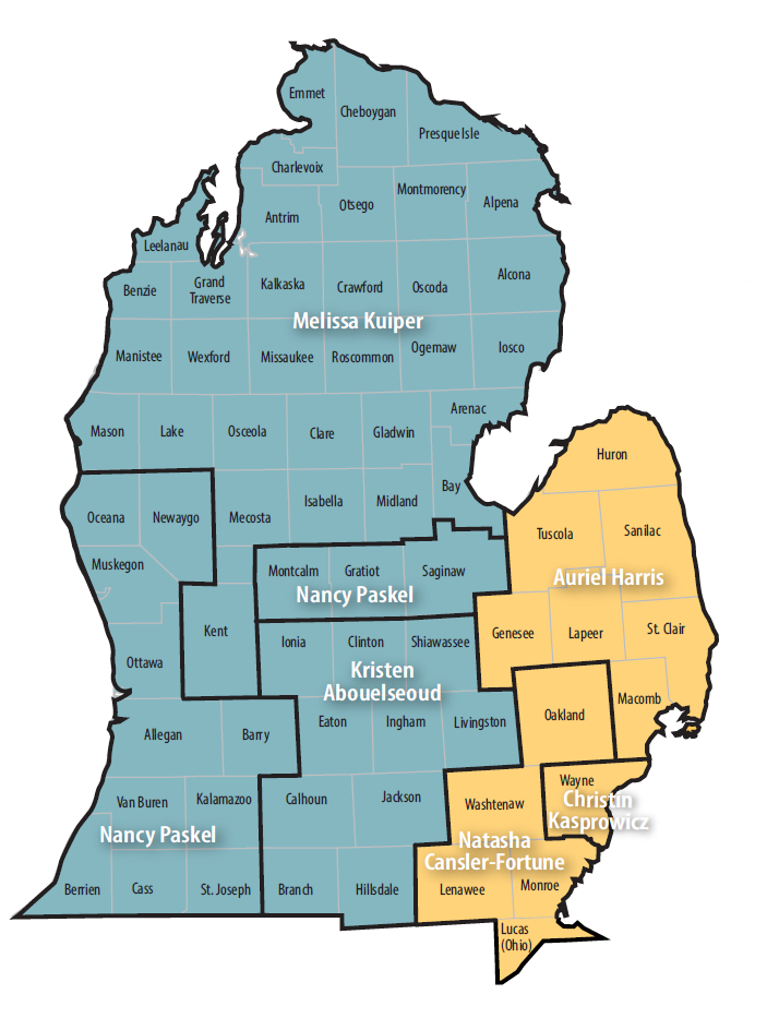 A map of the lower peninsula of Michigan, divided into 2 regions and several sub-regions. Each region lists a provider representative. On the page below you will find the same information in a list of Provider Representatives and the counties in their respective regions.